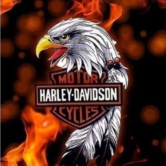 Examples of Harley magnets - Picture 10 of 16